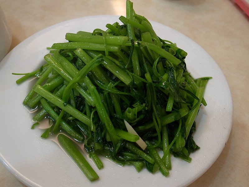 Cá chiên xù