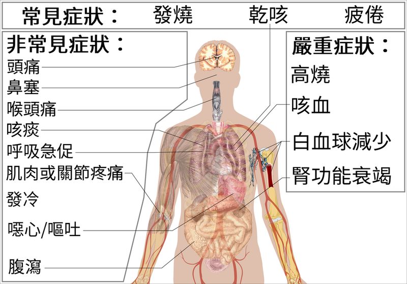 Cá hấp Hong Kong