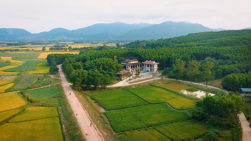 Canh Cá basa khế chua