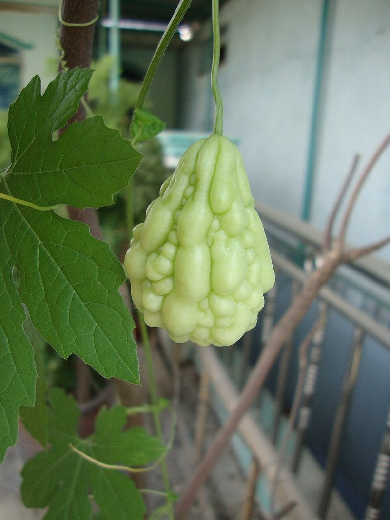 Canh Cá rô me chua