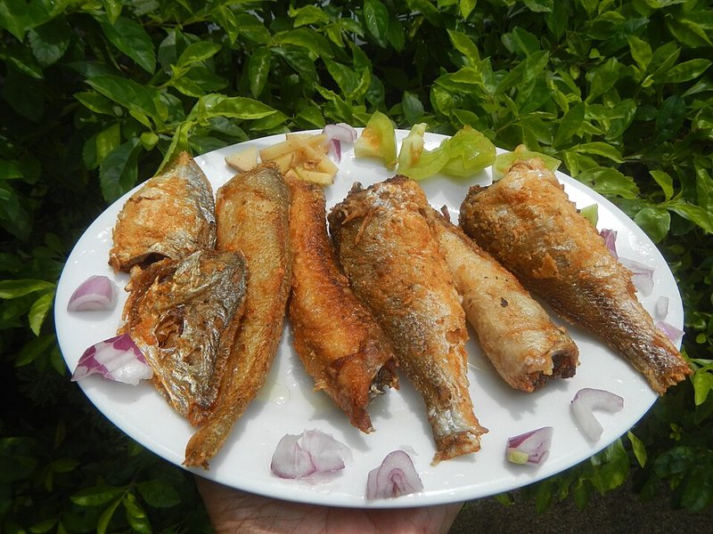 Canh Cá hú lá giang