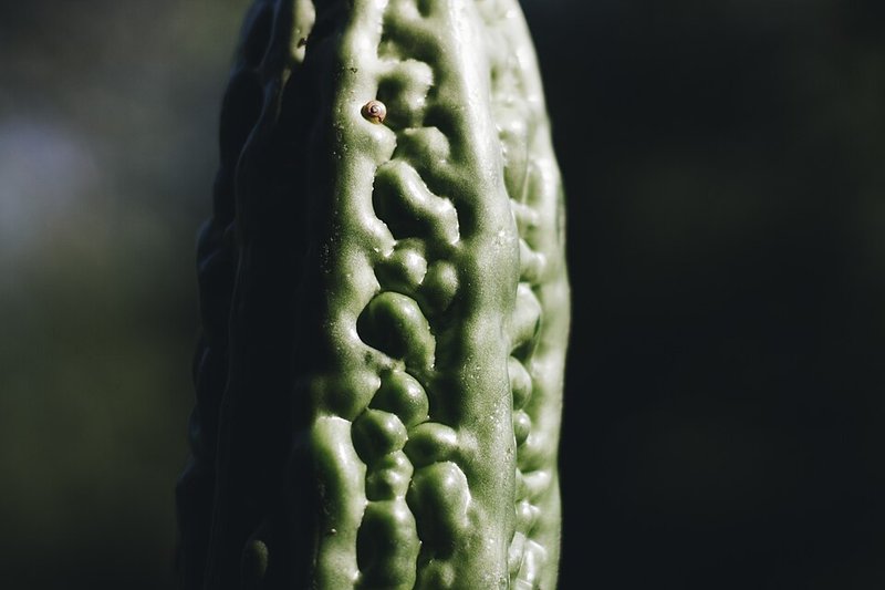 Canh Cá trê lá giang