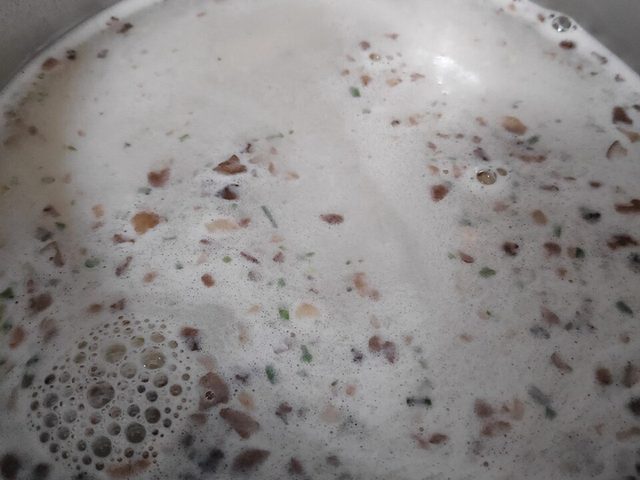 Canh Nghêu lá lốt