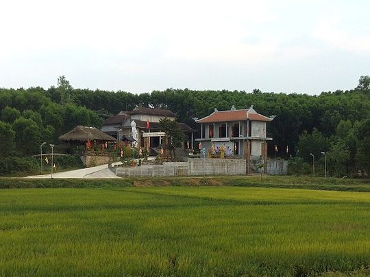 Canh Nghêu biển me chua