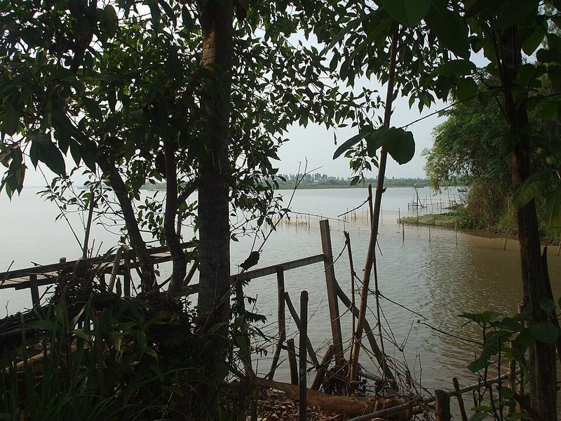 Canh Cá sặc thơm chín