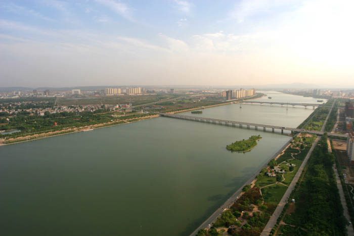 Chè sen long nhãn