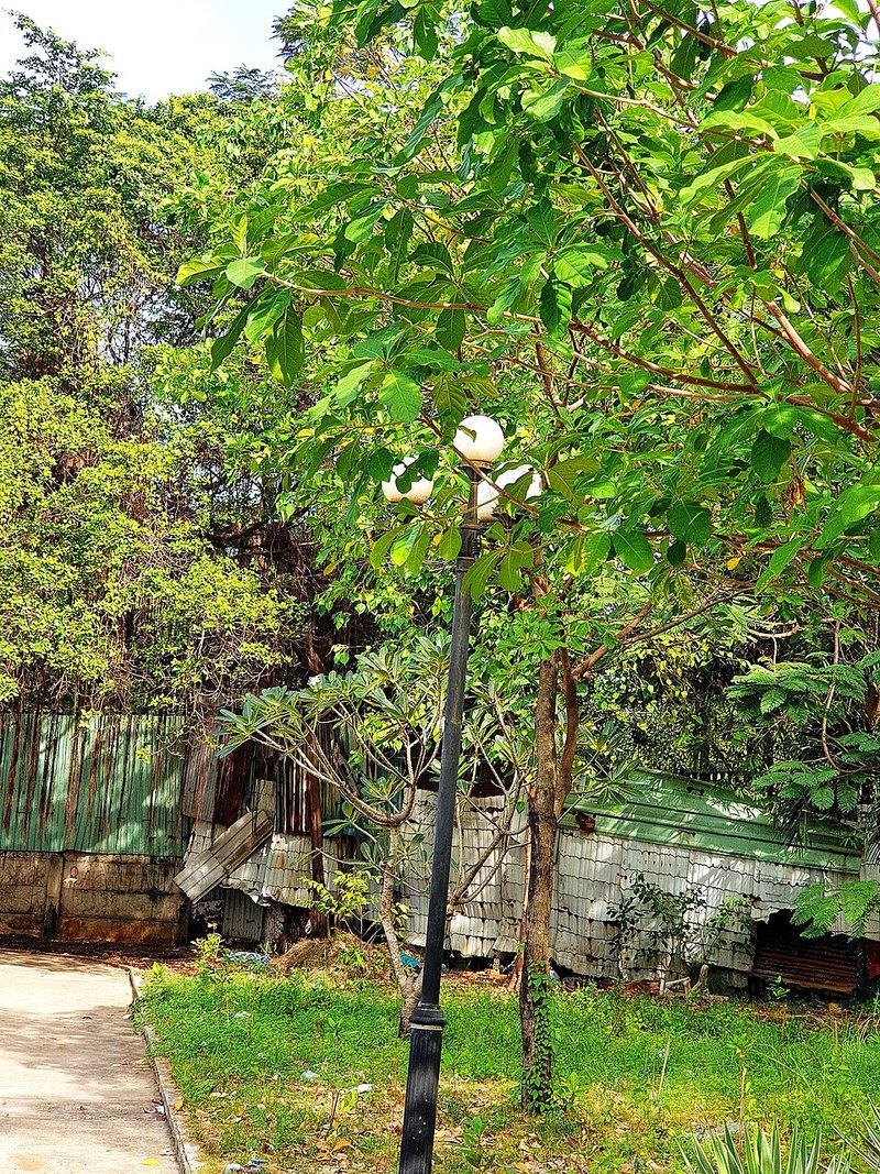 Ốc vặn chiên tỏi ớt