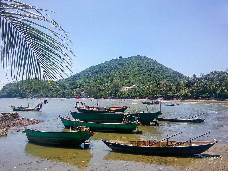 Gà hấp nấm đông cô