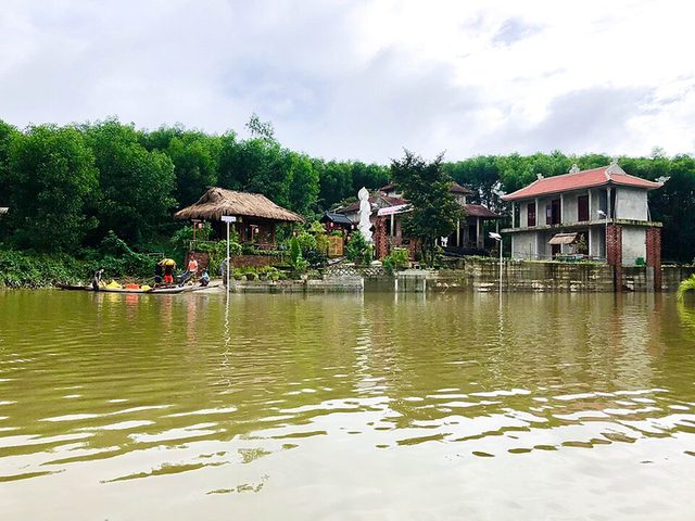 Cá lóc kho nước dừa