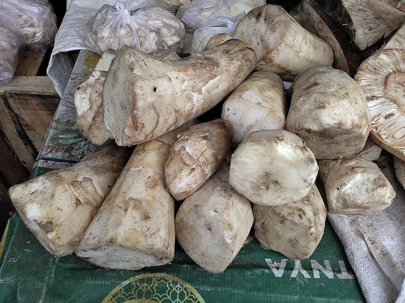 Gà ta trống kho tiêu sọ