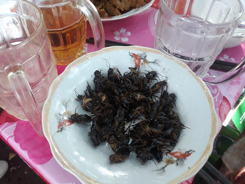 Mực khô kho trứng gà