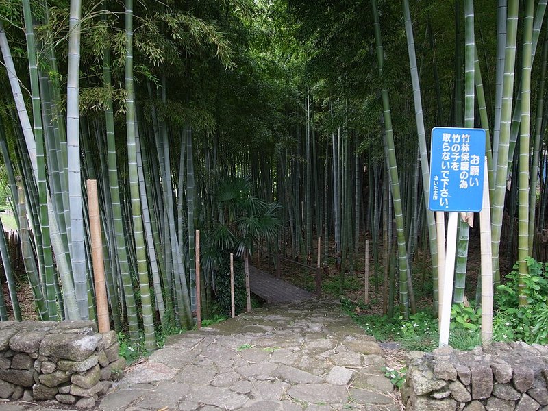 Vịt nướng kho tiêu xanh