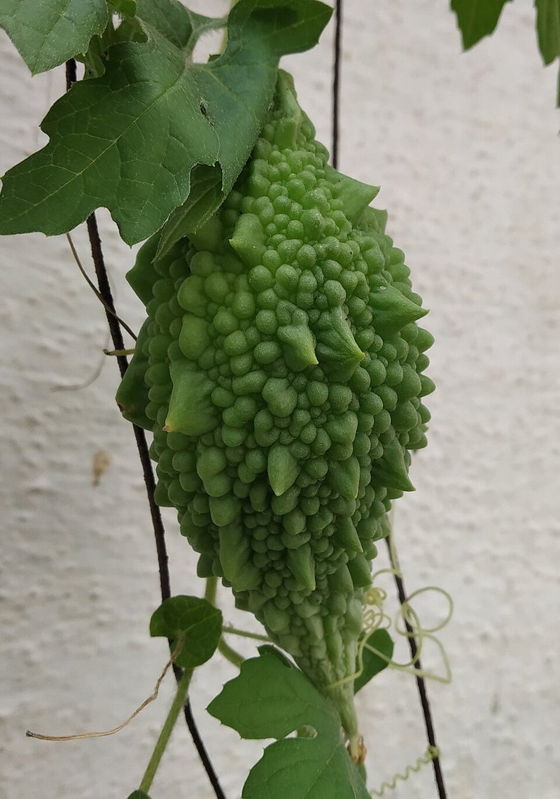 Tôm bạc kho gừng