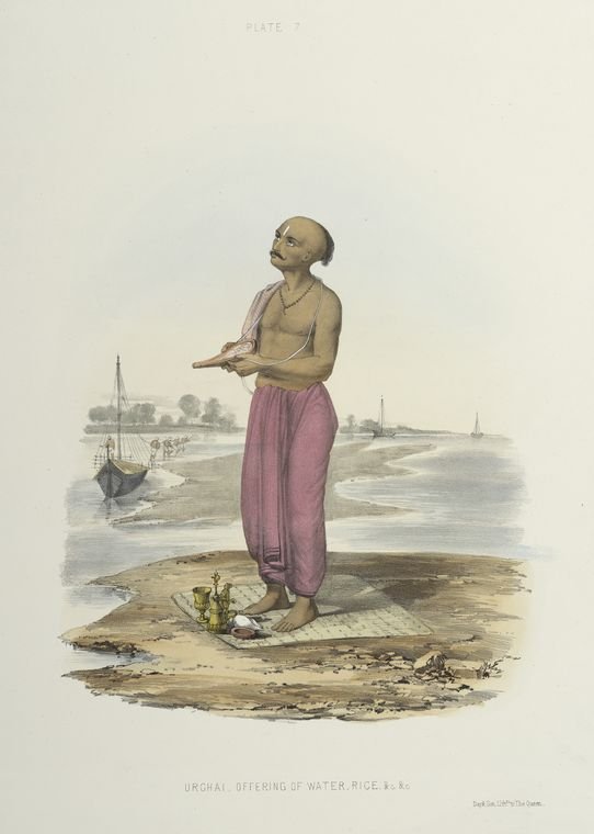 Mực ống nhỏ kho sả