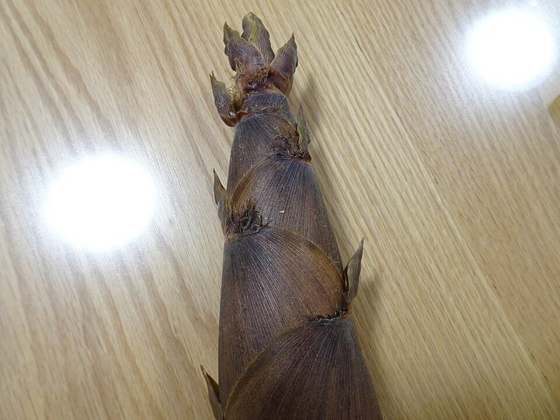 Tôm sú lớn kho sả
