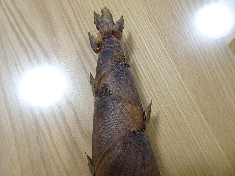 Tôm sú lớn kho tiêu