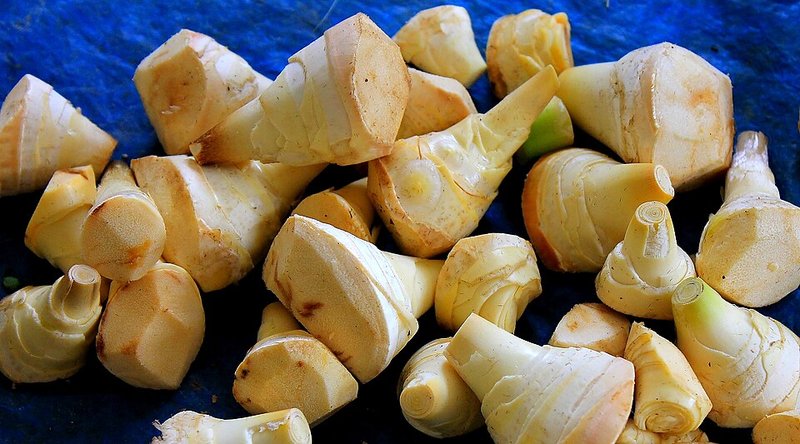 Bạch tuộc bé kho sả
