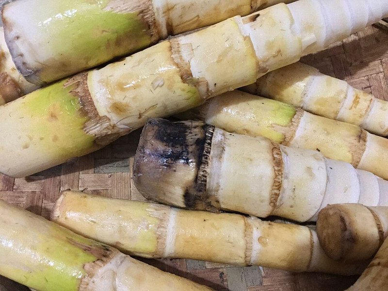 Cá kèo sống kho gừng