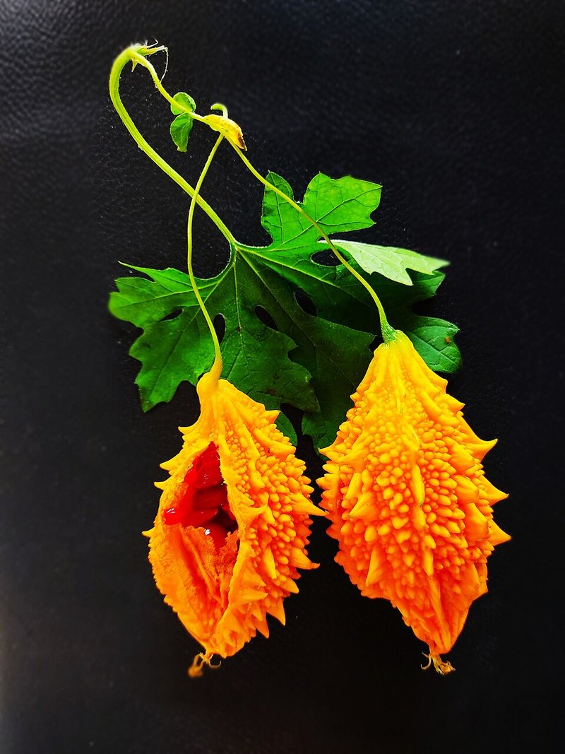 Cá trê đen kho nước dừa