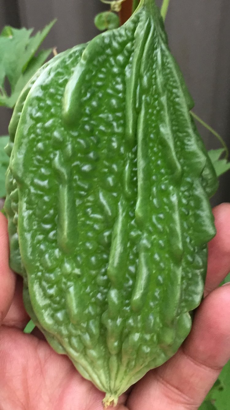 Đậu hũ non kho nước dừa