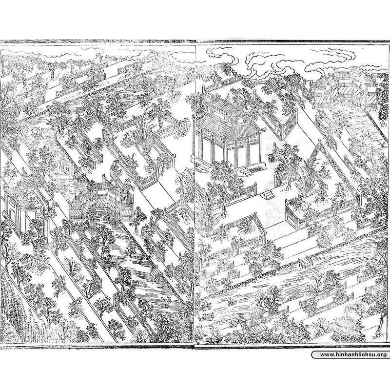 Gà ta trống kho gừng