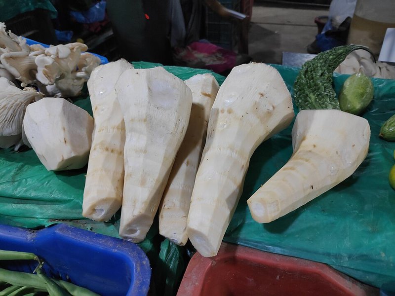 Mực trứng tươi kho gừng