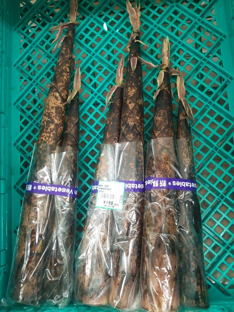 Nấm bào ngư kho sả