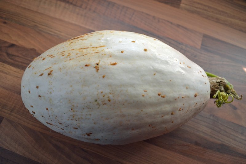 Ốc móng tay kho gừng