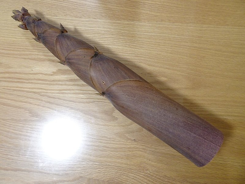Ốc móng tay kho sả