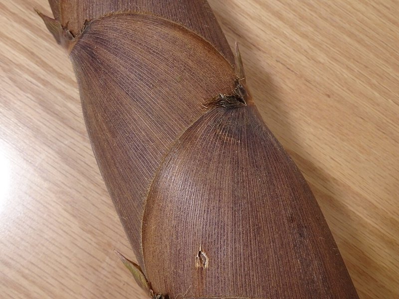Tôm thẻ lớn kho gừng