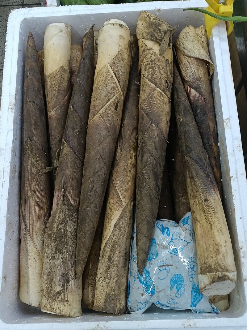 Cá basa kho tiêu