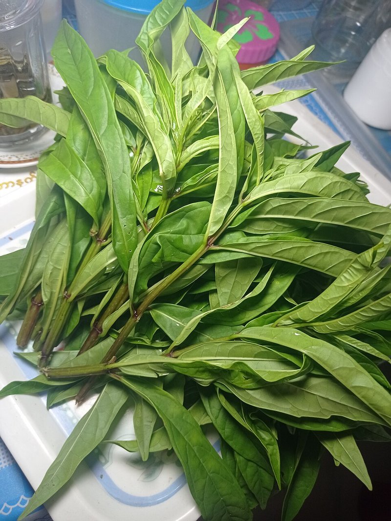 Mực trứng tươi xào cải thảo