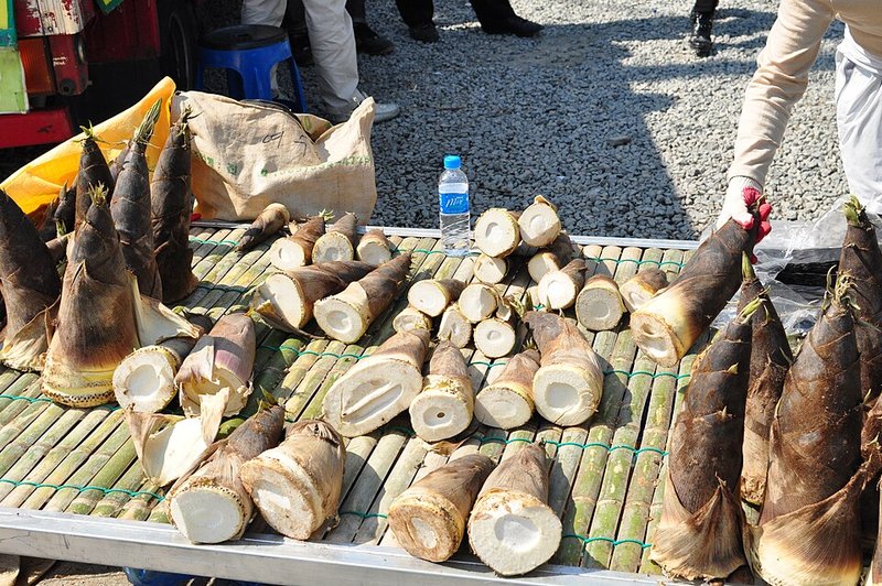 Mực trứng tươi xào hành tây