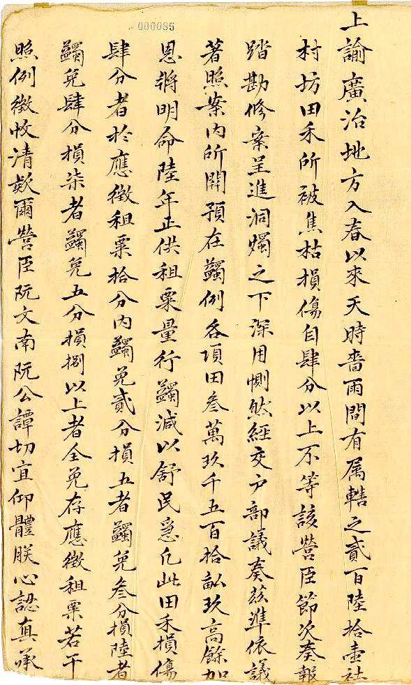 Cá thu xào bí ngòi