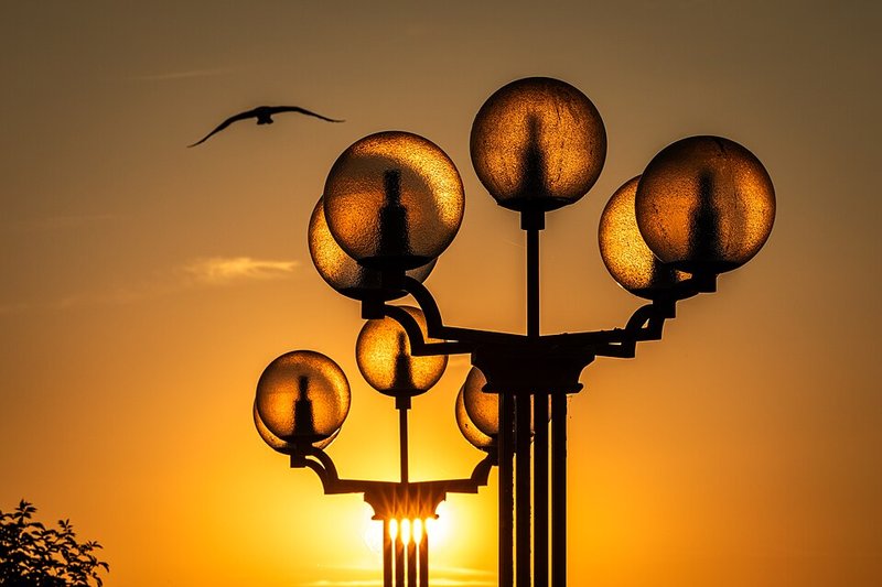 Ba chỉ xào đậu que